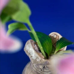 Hungy Hippo Vase, Grå -Salling Butik 210738 mood 3 hungry hippo vase