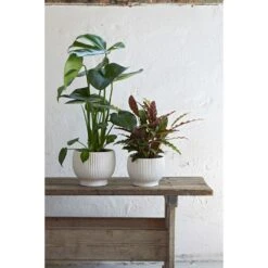 Urtepotteskjuler Med Riller, Hvid, 14,5 Cm -Salling Butik 5713959012530 1