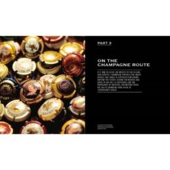 Champagne Wine Of Kings And The King Of Wines 11 Champagne Wine Of Kings And The King Of Wines -Salling Butik 9781787392861 in01