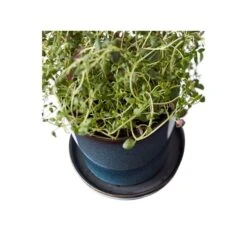 BITZ Skjuler Med Underskål, Blå/Sort, 10 Cm 5 BITZ Skjuler Med Underskål, Blå/Sort, 10 Cm -Salling Butik bitz skjuler med underskaal 10 cm blaa og sort 2