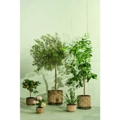 Kähler Gro Urtepotteskjuler, Sand, 21,5 Cm -Salling Butik kaehler gro 2