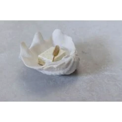 Mette Ditmer Muslingeskal Dekoration, Hvid, S 5 Mette Ditmer Muslingeskal Dekoration, Hvid, S -Salling Butik mette ditmer muslingeskal deokration small white 2